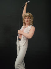 Load image into Gallery viewer, The Who Roger Daltrey 2009 Knucklebonz Rock Iconz