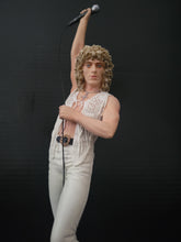Load image into Gallery viewer, The Who Roger Daltrey 2009 Knucklebonz Rock Iconz