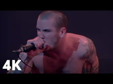 Load and play video in Gallery viewer, Pantera Dimebag Darrell 2019 Knucklebonz Rock Iconz