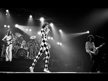 Load and play video in Gallery viewer, Queen Freddie Mercury 2007 Knucklebonz Rock Iconz