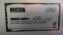 Načíst obrázek do prohlížeče Galerie, Pantera Dimebag Darrell 2021 Knucklebonz Rock Iconz
